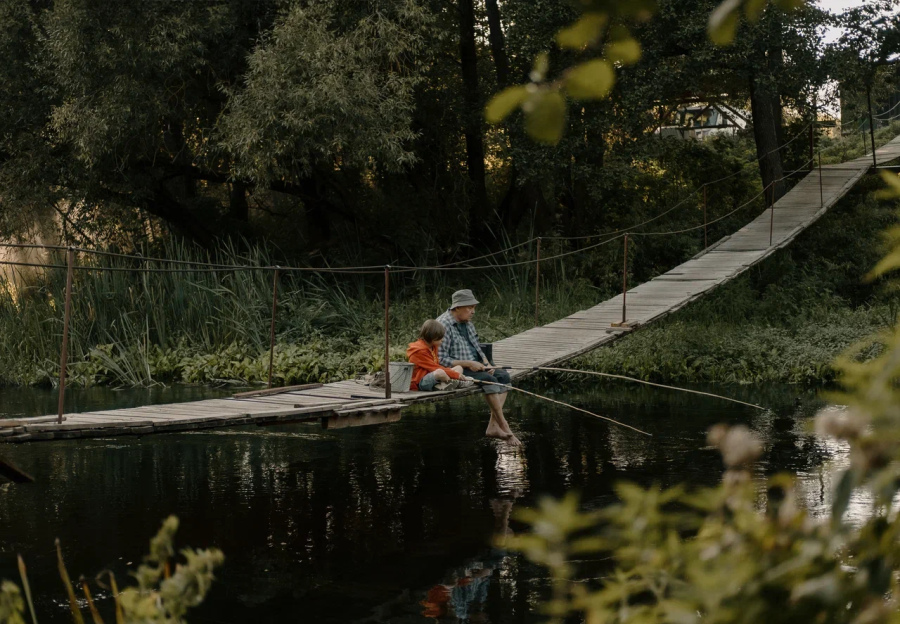 На деревню дедушке