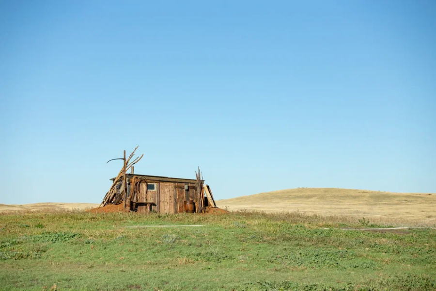 Моя собака — космонавт