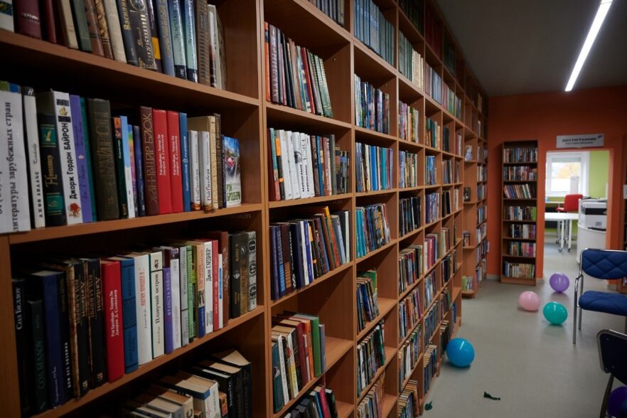 В Братске открылась модельная библиотека под названием «Добрый дом»