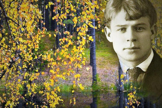 В стране березового ситца