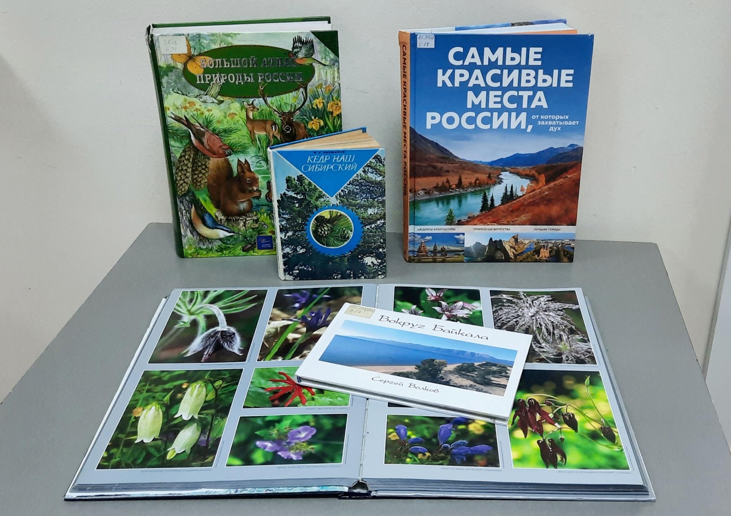 Экогеографический квиз «Необъятная Россия» • Культура 38