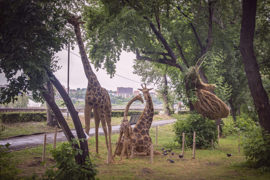 Жирафы поселились на иркутской набережной