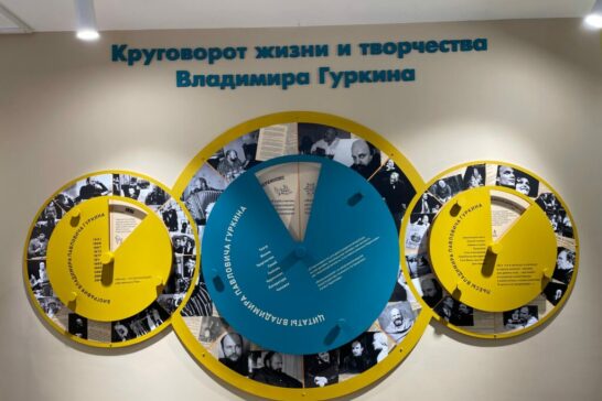 «Дом окнами в парк» в музее Гуркина расширят