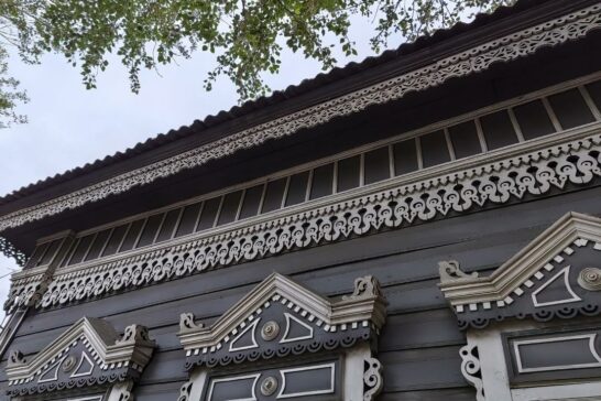 Интерактивная лекция «И дерева узор неповторимый…»