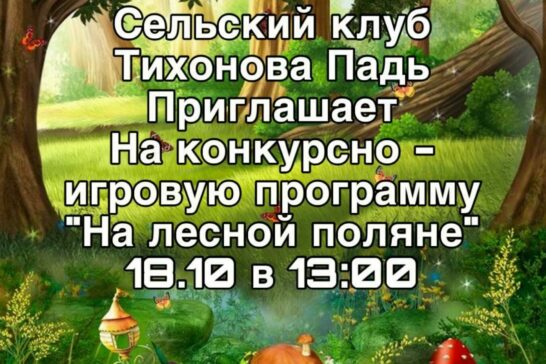 Конкурсная -игровая программа «На лесной поляне».