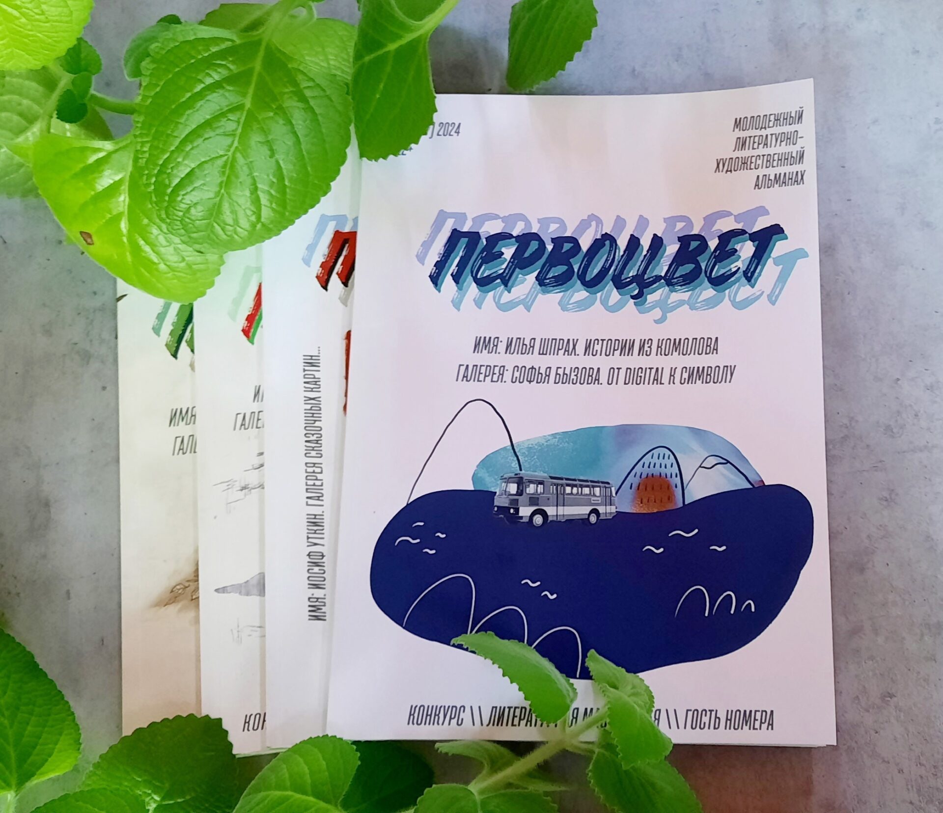 Первоцвет