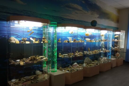 «По морям, по волнам!»