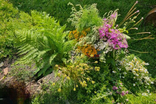 «Здоровье дарит нам природа»