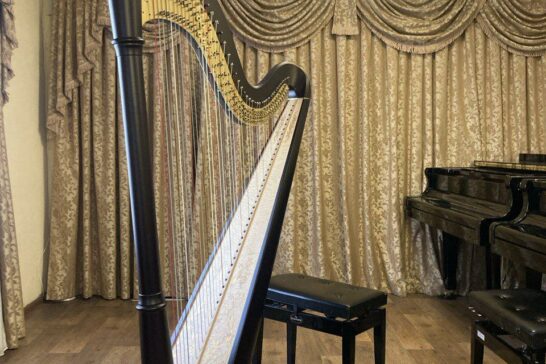 Звуками арфы наполнится детская музыкальная школа Иркутска