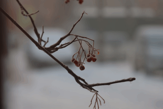 Афиша Иркутска: куда сходить 20 и 21 декабря