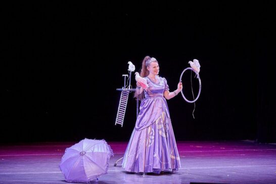 Цирковое шоу «Овация»