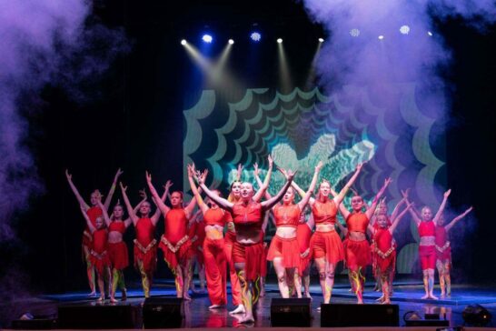 Шоу «Круговорот стихий»