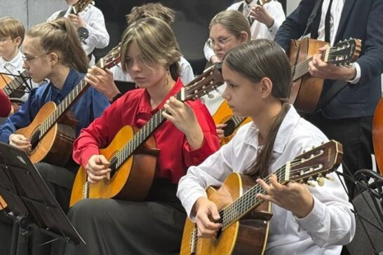 Новые инструменты получат музыкальные школы Иркутска